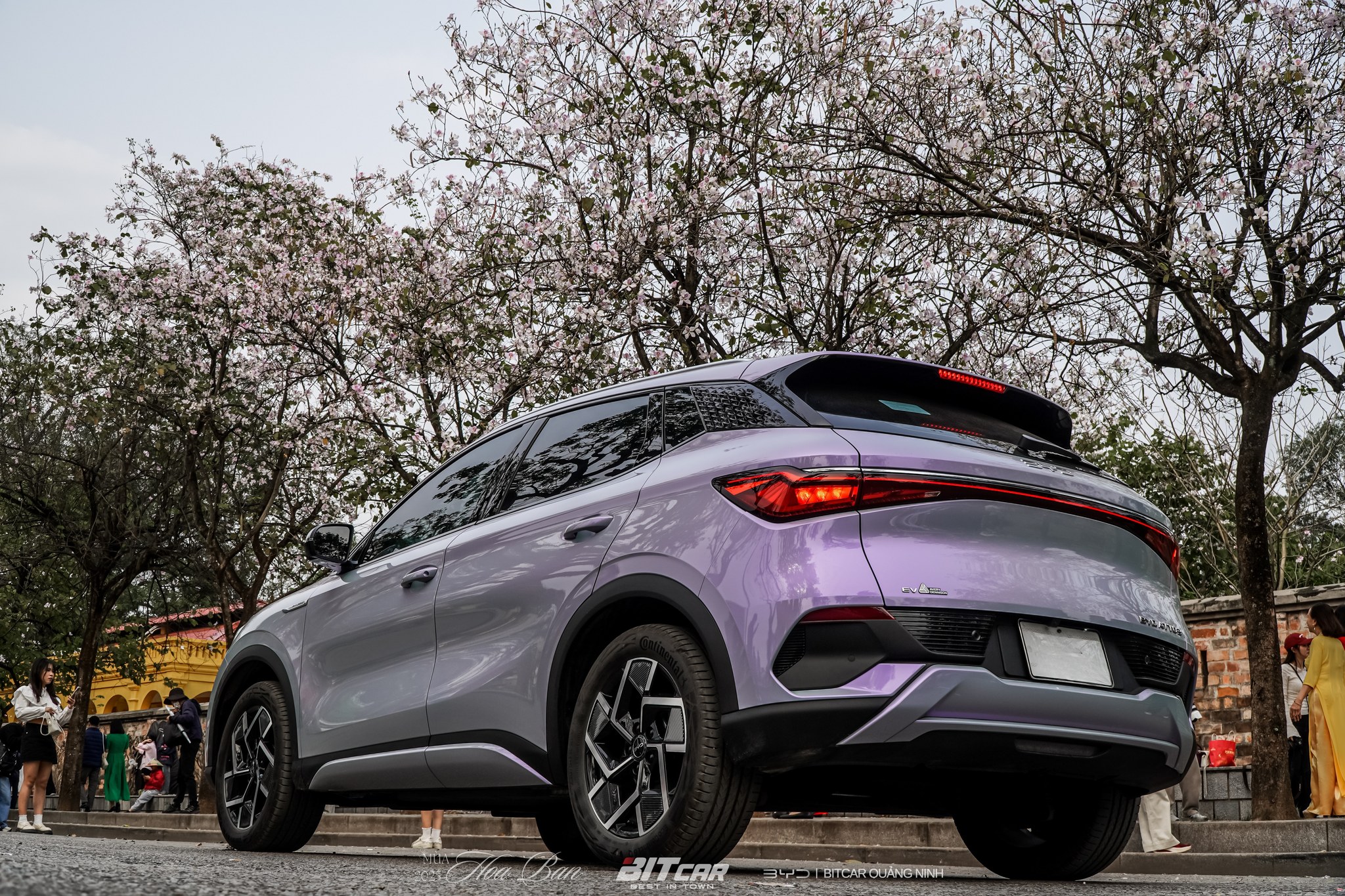 BYD ATTO 3 giá bán