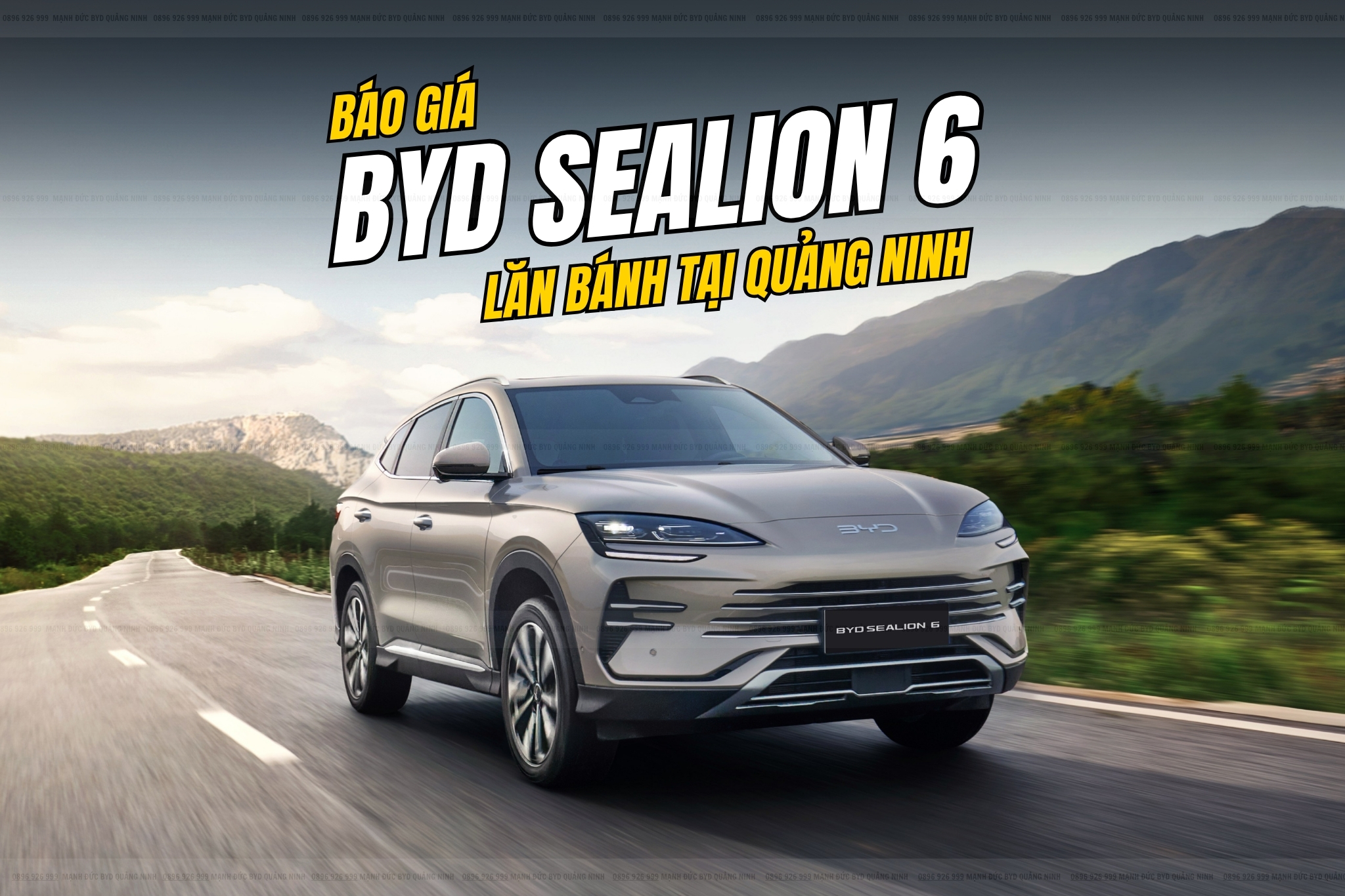 giá byd sealion 6 lăn bánh bao nhiêu tiền